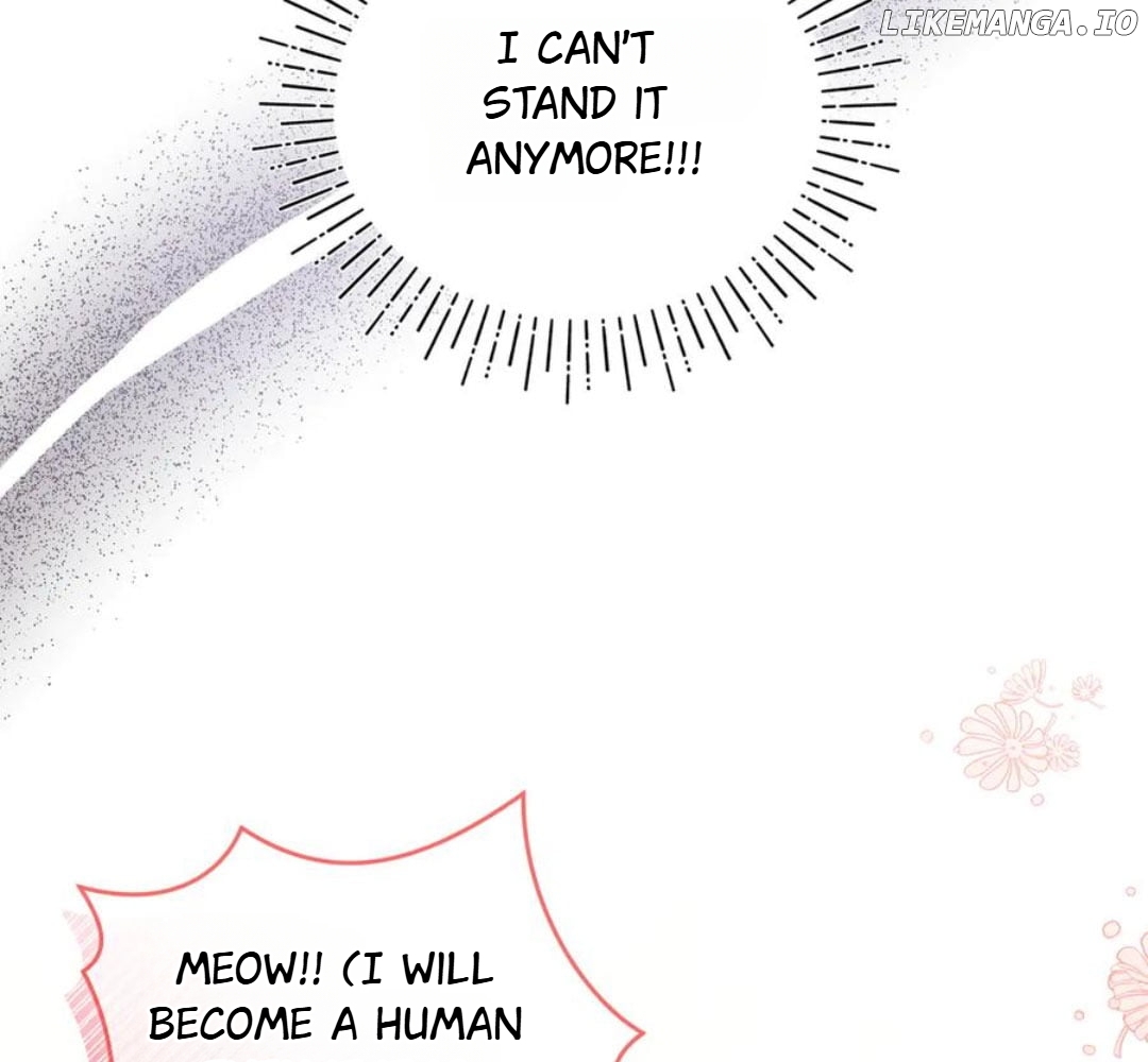 I Became the Sultan's Precious Cat Chapter 55 - page 47